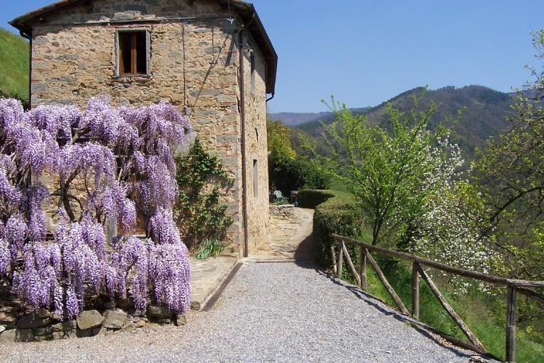 Fattoria Di Pietrabuona Apartment Pescia Exterior photo