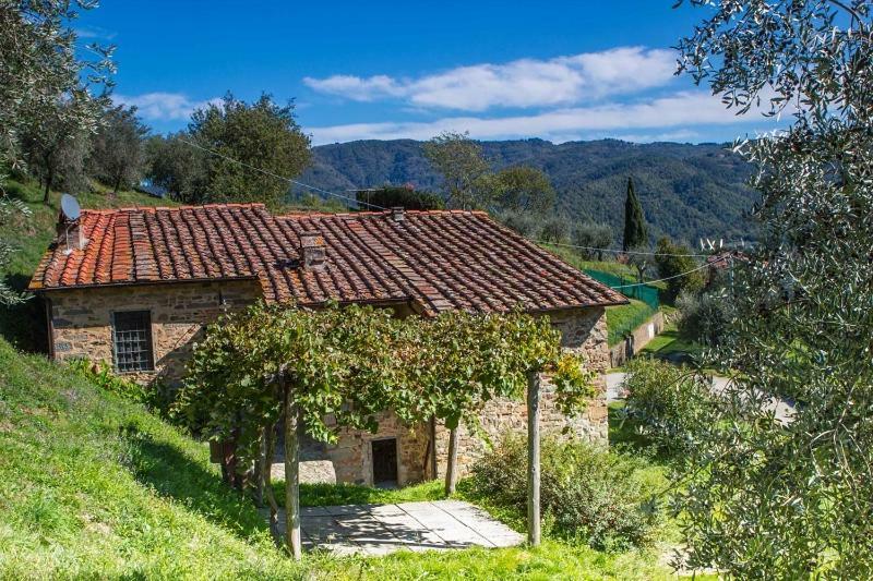 Fattoria Di Pietrabuona Apartment Pescia Exterior photo
